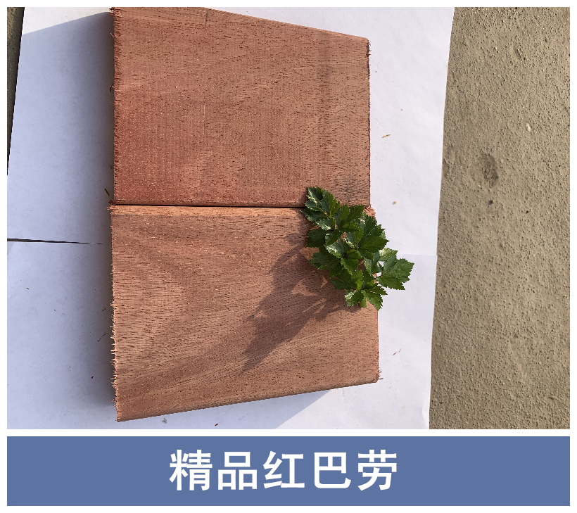 張家港精品紅巴勞圖片