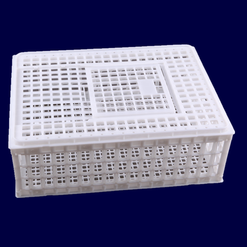 青年雞運輸籠 雞雛運輸筐 小雞筐圖片