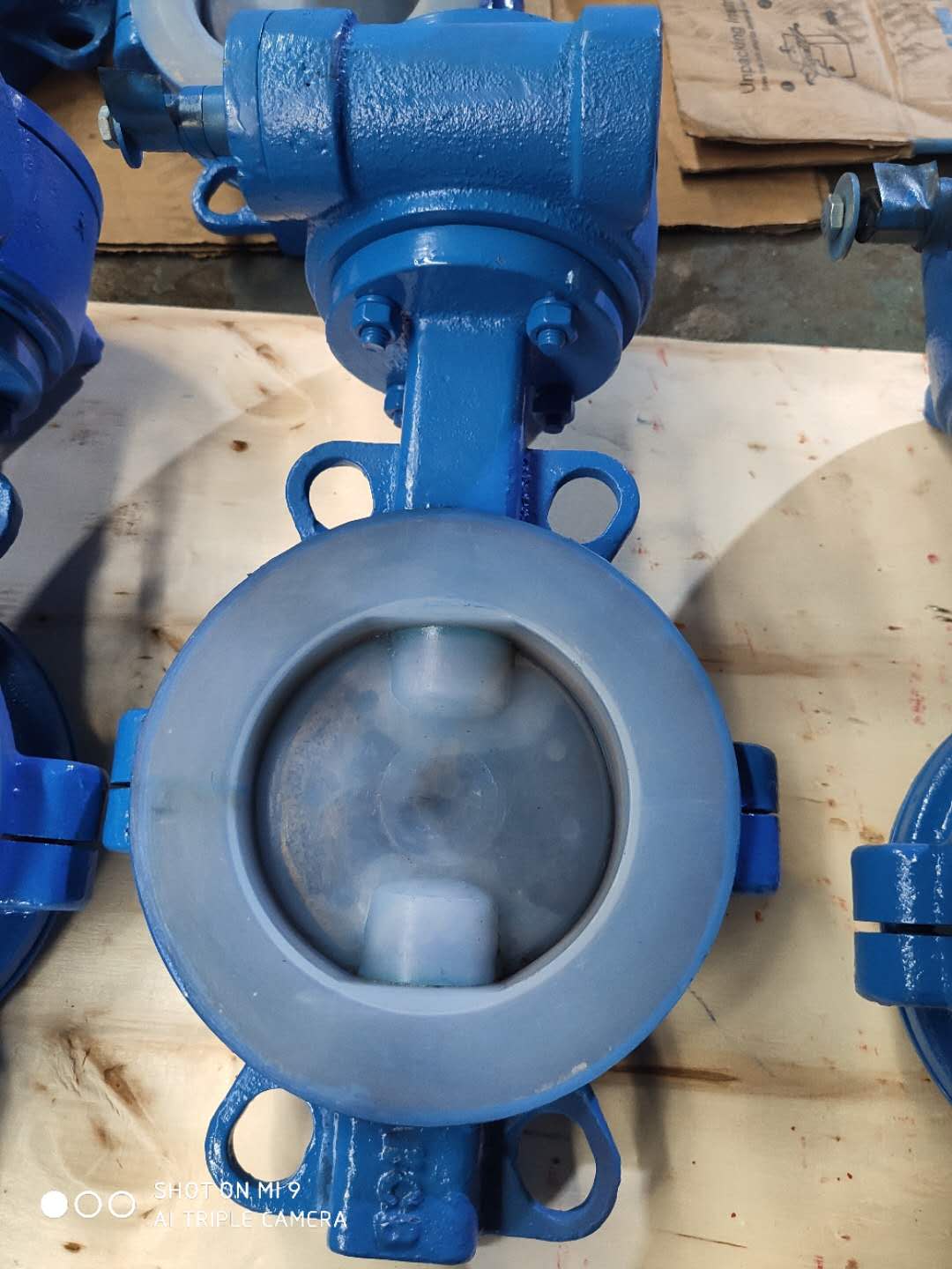 江晨襯氟對夾蝶閥 D371F46