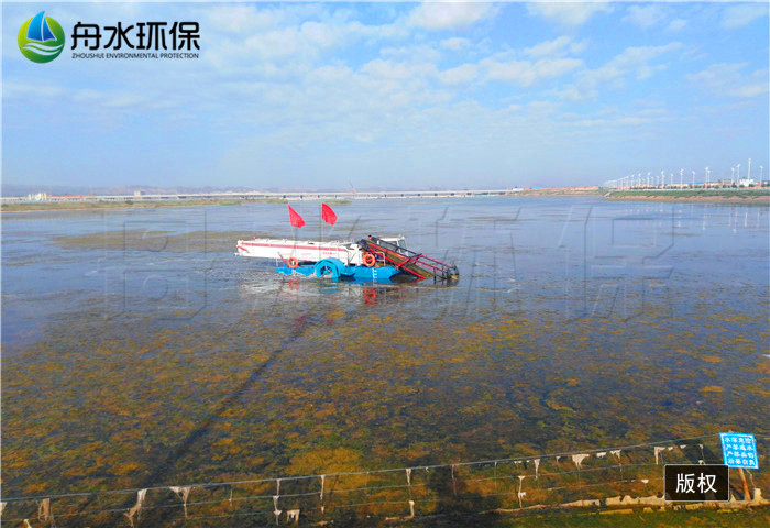 割草船圖片/割草船樣板圖 (4)