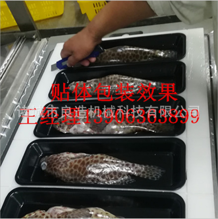 食品封口機(jī)械圖片/食品封口機(jī)械樣板圖 (4)