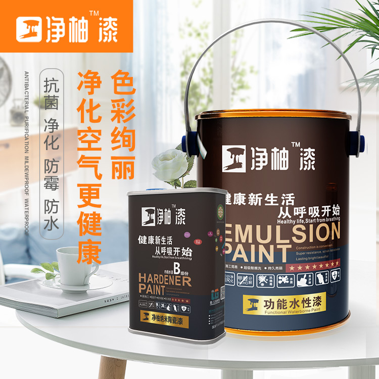 臣工净柚漆净美系列WNM-411纳米薄膜抗菌陶瓷漆5L装水性漆内墙漆图片