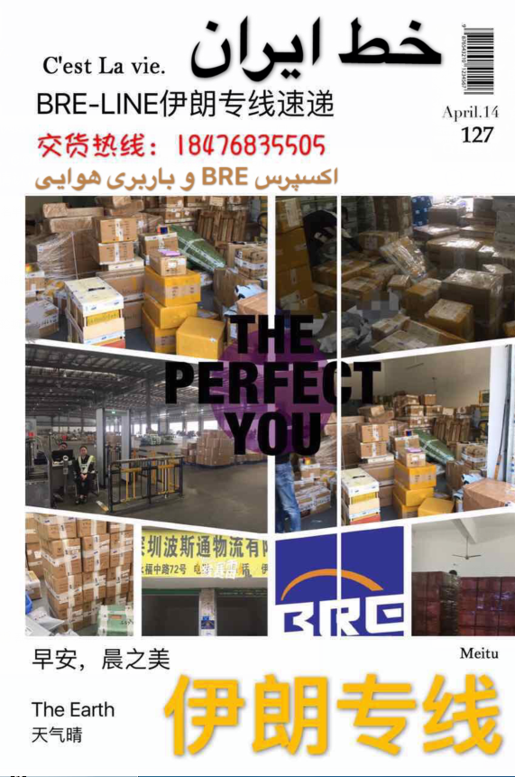 波斯專線圖片/波斯專線樣板圖 (3)