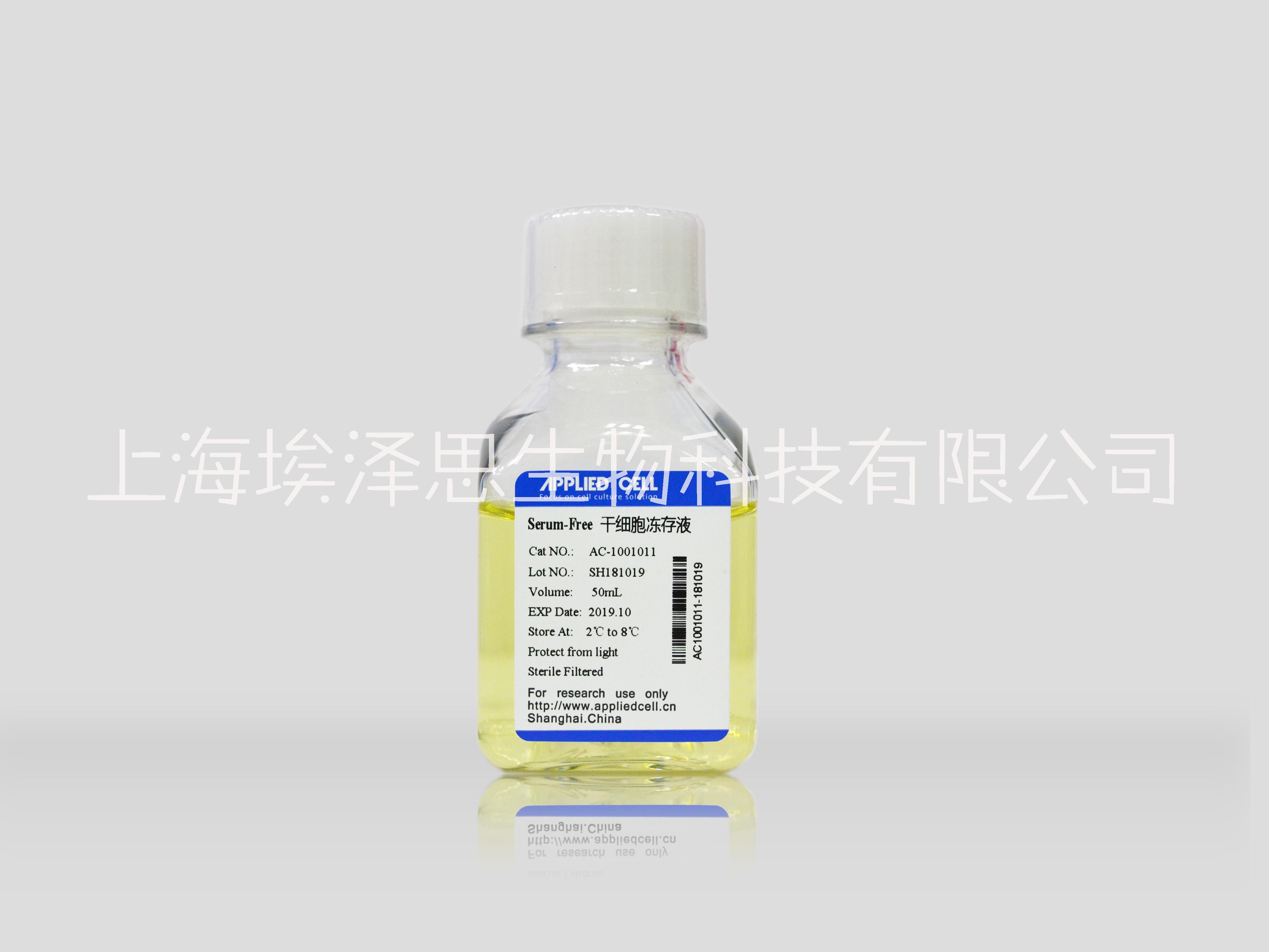干細胞圖片/干細胞樣板圖 (1)