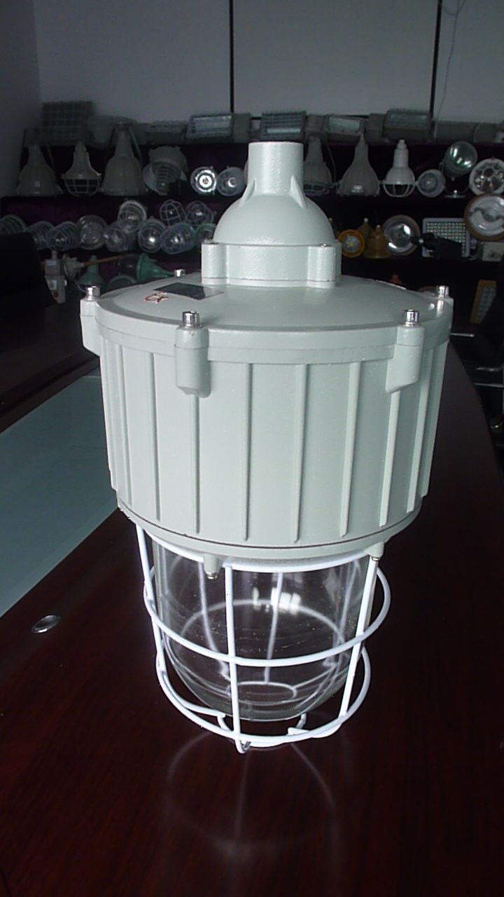 防爆燈圖片/防爆燈樣板圖 (2)