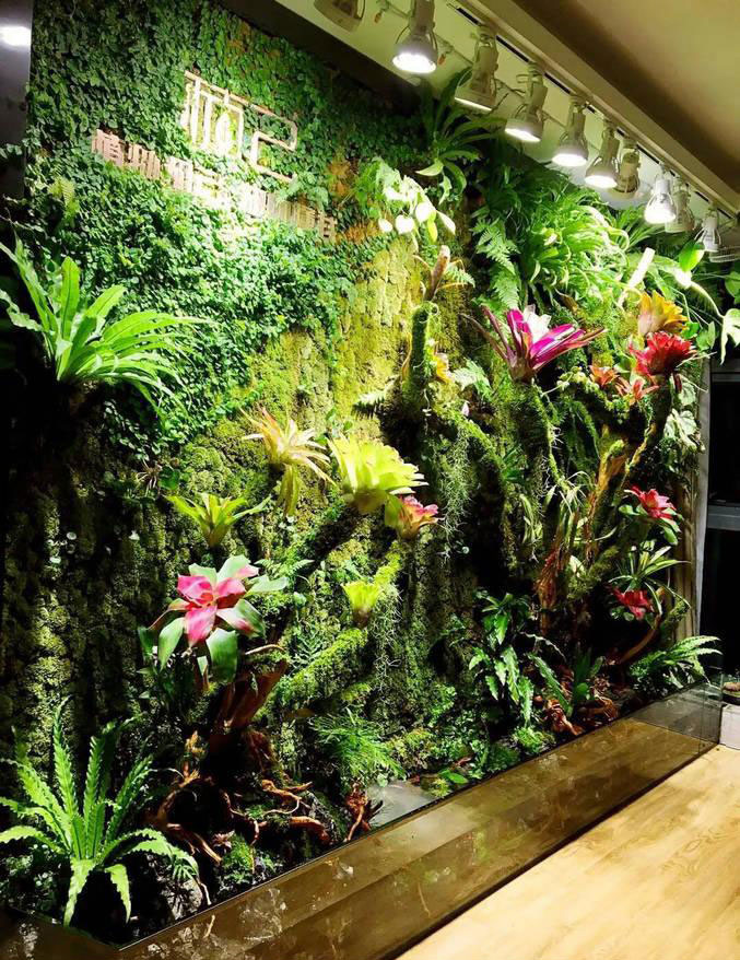 仿真植物圖片/仿真植物樣板圖 (2)