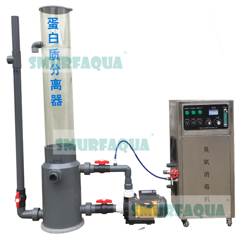 蛋白質(zhì)分離器圖片/蛋白質(zhì)分離器樣板圖 (1)