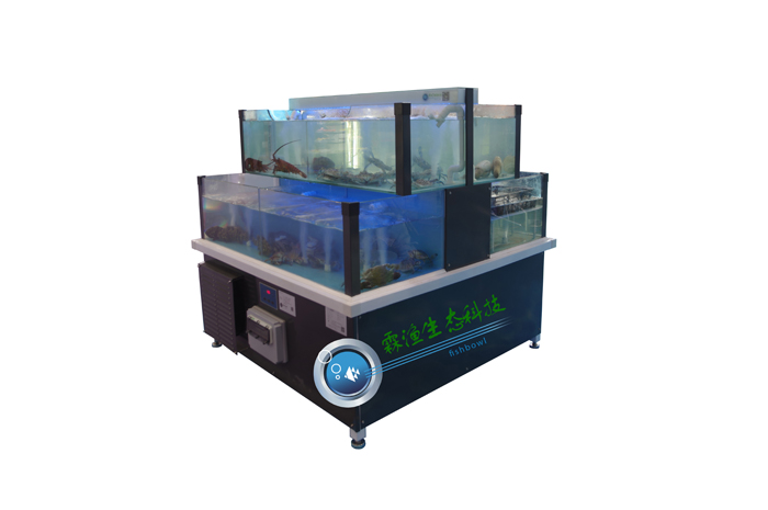 廠家直銷雙面雙層水產(chǎn)暫養(yǎng)池超市魚缸酒店海鮮池魚池生態(tài)養(yǎng)殖池可移動(dòng)式生鮮池可定制