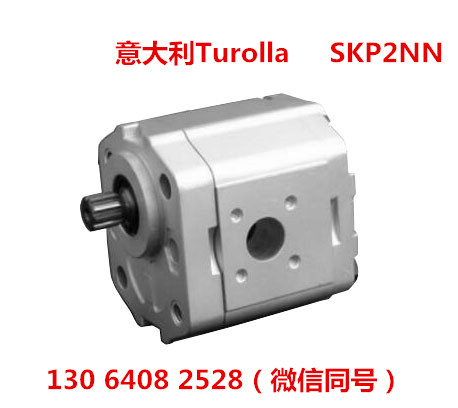 意大利turolla齒輪泵111.09.010.00 SEP1NN/1,0LN03CA03D5D3NNNN/NNNNN