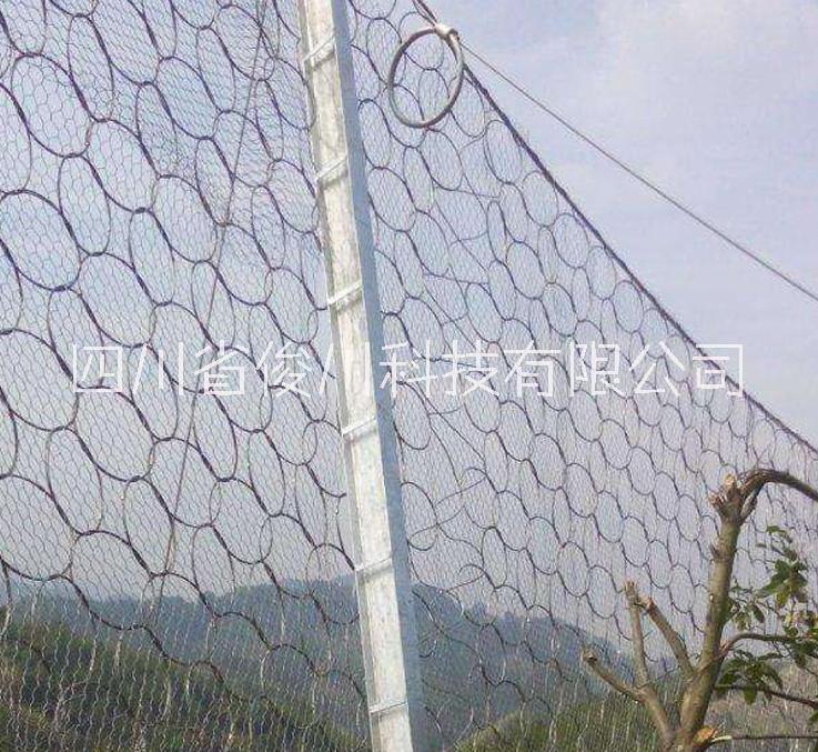 被動(dòng)網(wǎng)圖片/被動(dòng)網(wǎng)樣板圖 (2)