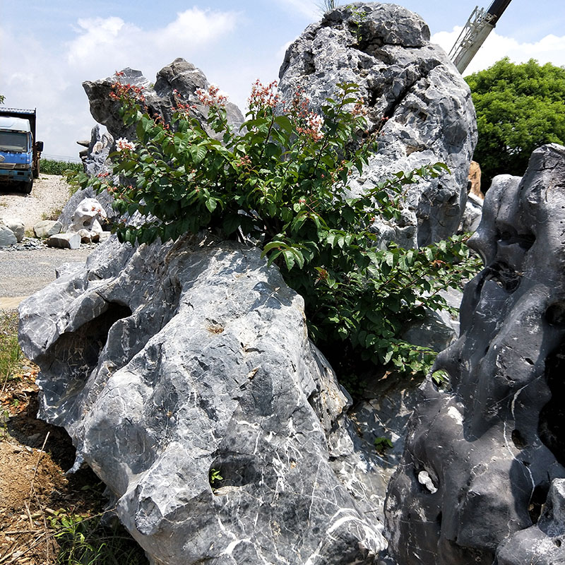 庭院景观石 太湖石假山 别墅花园鱼池园林景观设计大型太湖石图片