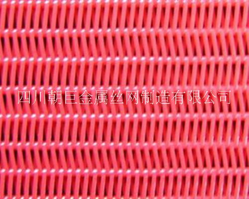 聚酯螺旋網(wǎng)圖片/聚酯螺旋網(wǎng)樣板圖 (2)