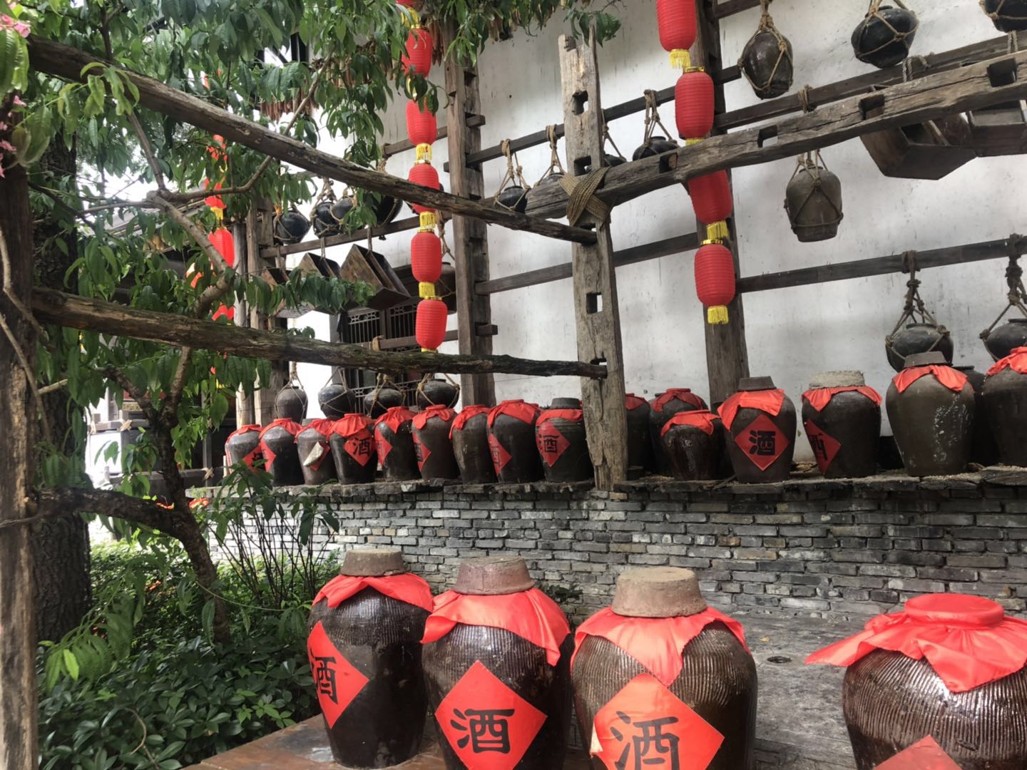 大高粱酒圖片/大高粱酒樣板圖 (2)