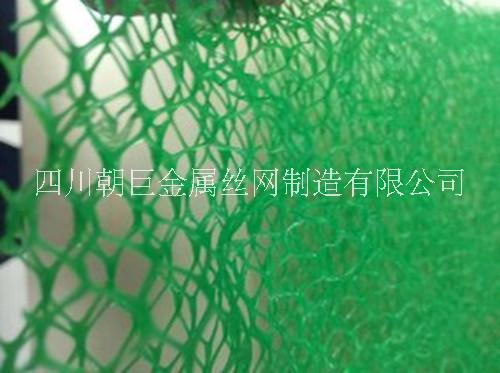 植被網(wǎng)圖片/植被網(wǎng)樣板圖 (2)