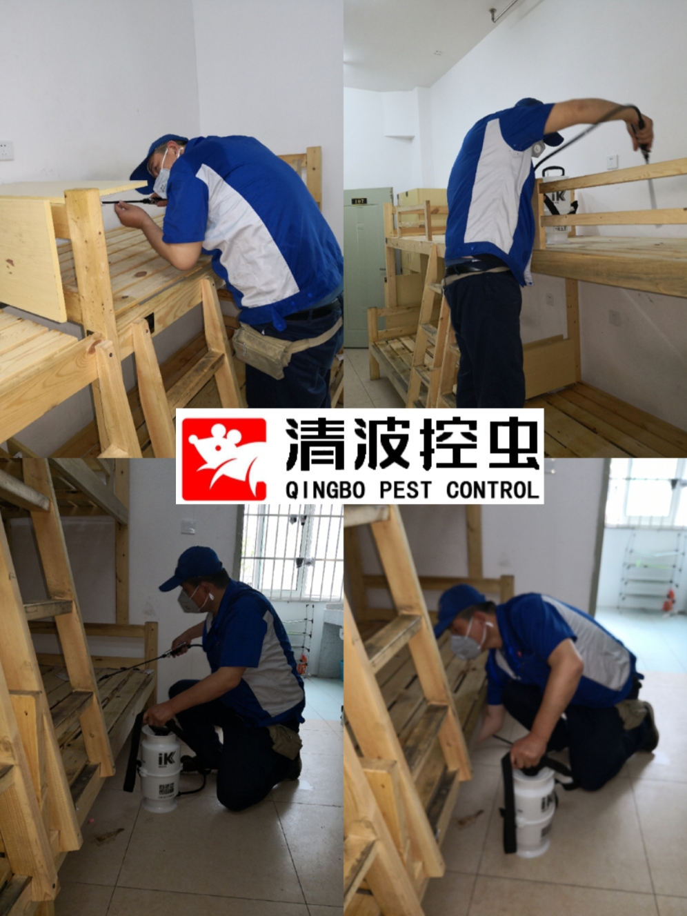 殺蟑螂圖片/殺蟑螂樣板圖 (4)