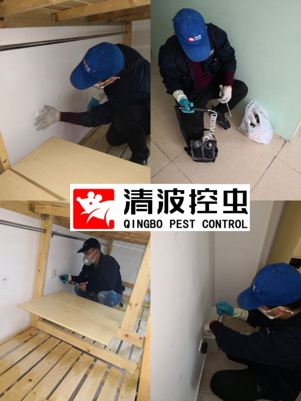 殺蟑螂圖片/殺蟑螂樣板圖 (3)