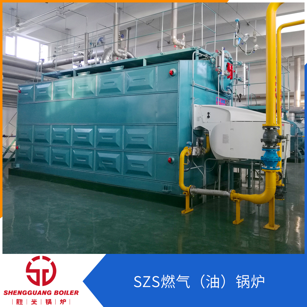 天然氣供暖鍋爐圖片/天然氣供暖鍋爐樣板圖 (4)