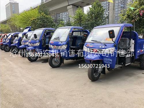 五征翔運虎三輪車圖片/五征翔運虎三輪車樣板圖 (1)