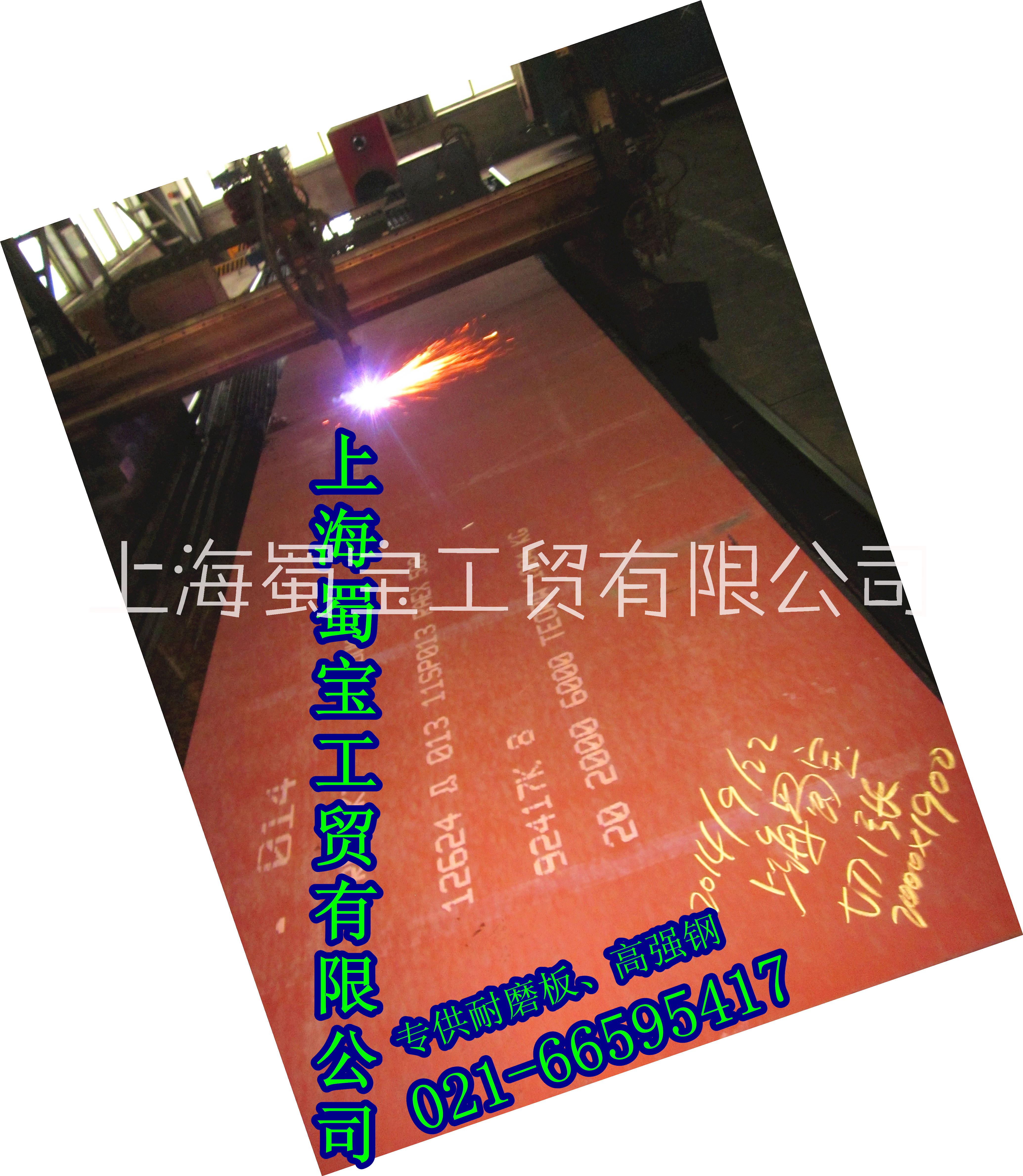 RAEX500圖片/RAEX500樣板圖 (2)