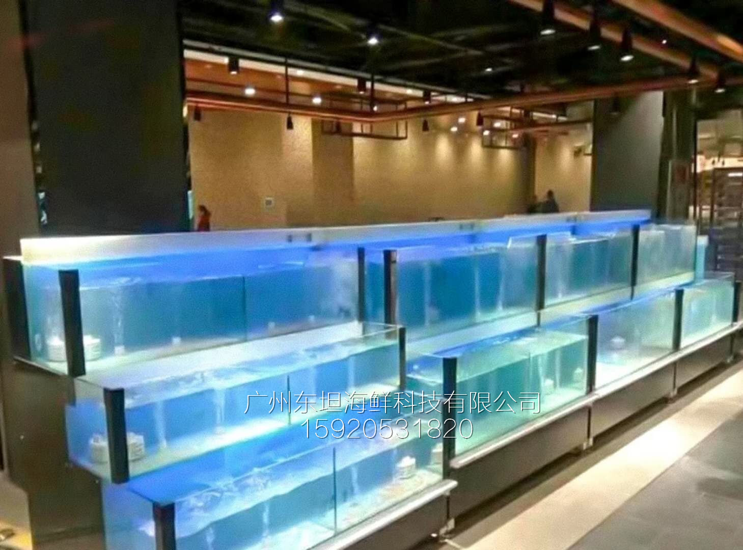 中山市定做不銹鋼海鮮池圖片/中山市定做不銹鋼海鮮池樣板圖 (3)