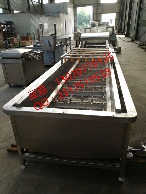 廠家供應(yīng)蔬菜清洗流水線 成套設(shè)備圖片/廠家供應(yīng)蔬菜清洗流水線 成套設(shè)備樣板圖 (3)