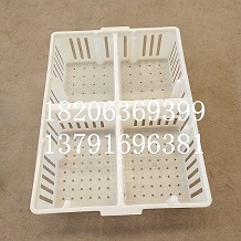 鴨苗筐圖片/鴨苗筐樣板圖 (2)