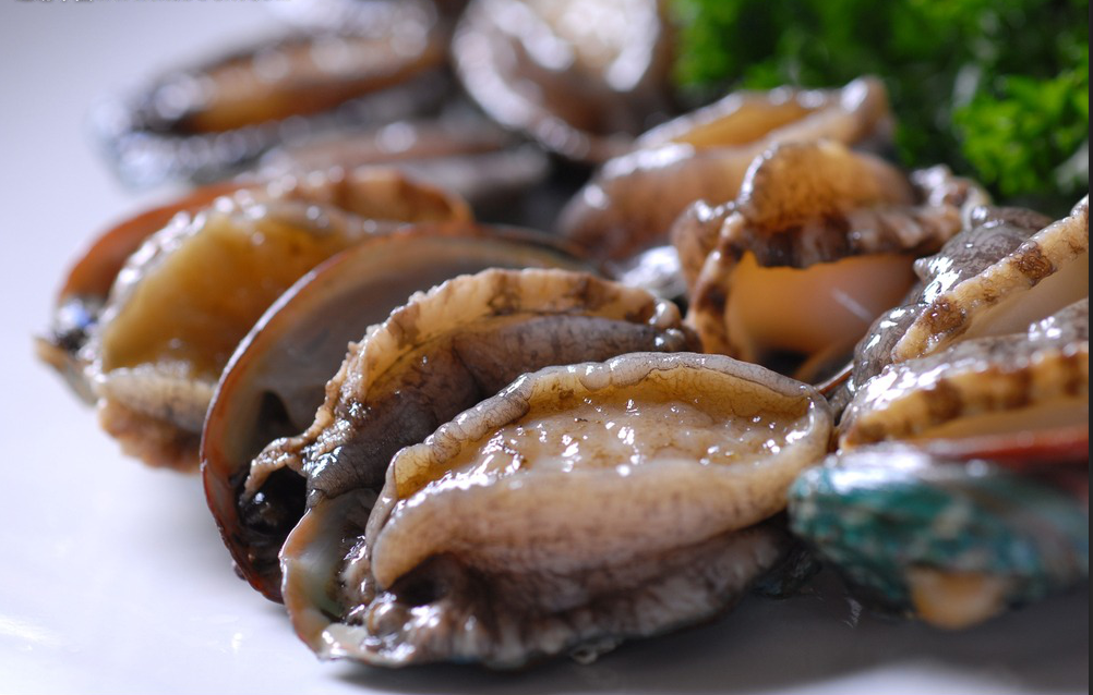 杭州新鮮鮑魚供應 出售 批發(fā)