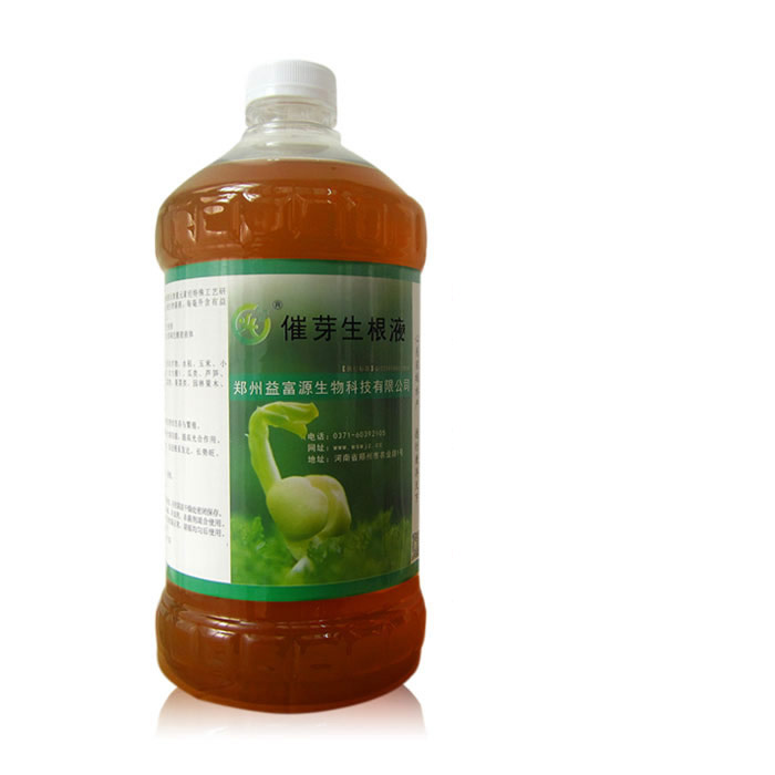 催芽生根劑枸杞移栽用益富源催芽生根液生根快