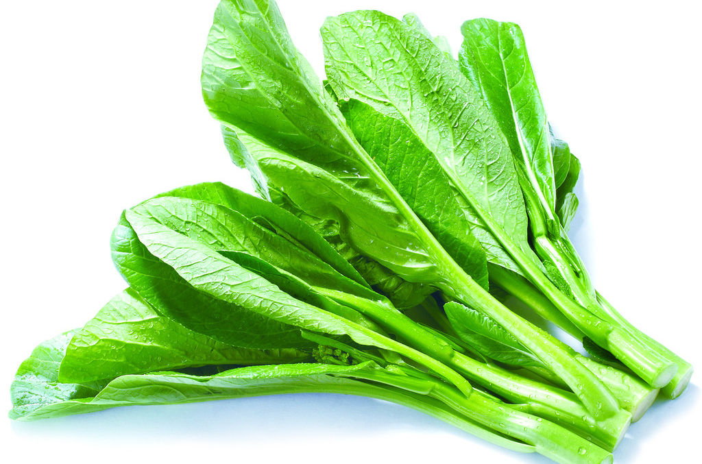 蔬菜配送廣東菜心