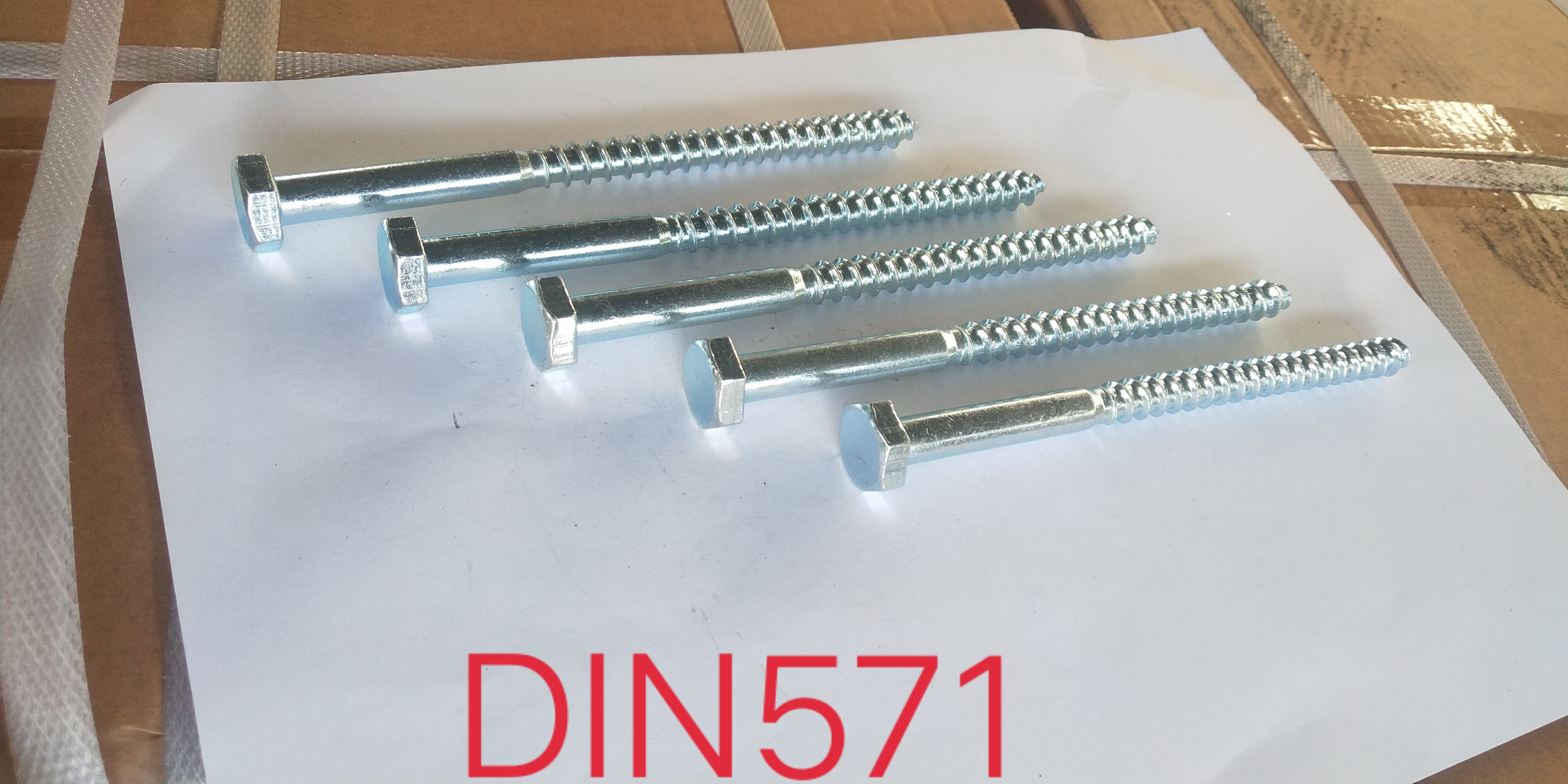 木螺釘圖片/木螺釘樣板圖 (3)