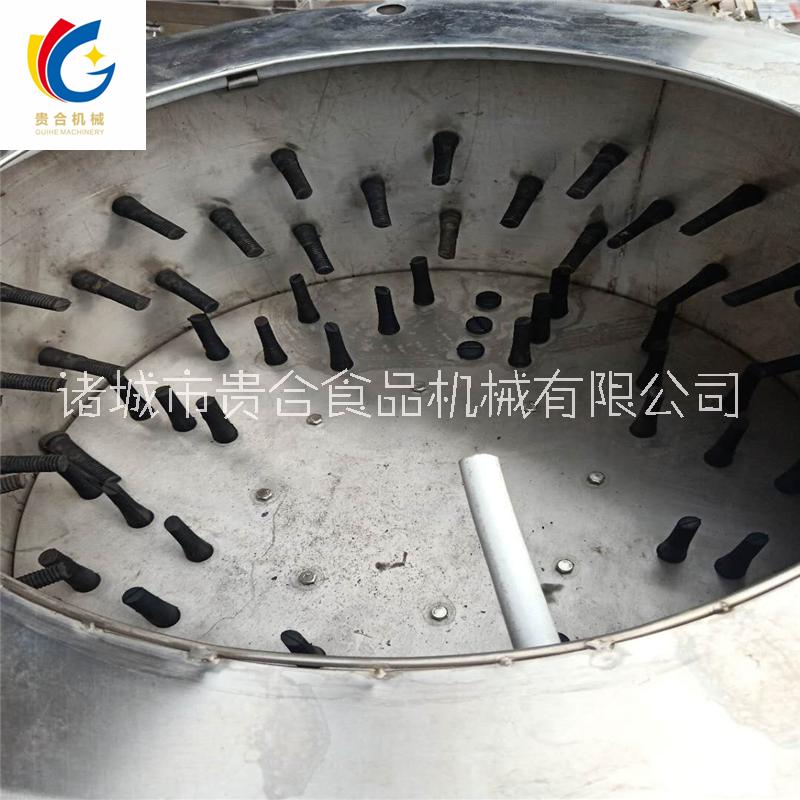 貴合全自動家禽圓筒打毛機圖片/貴合全自動家禽圓筒打毛機樣板圖 (4)