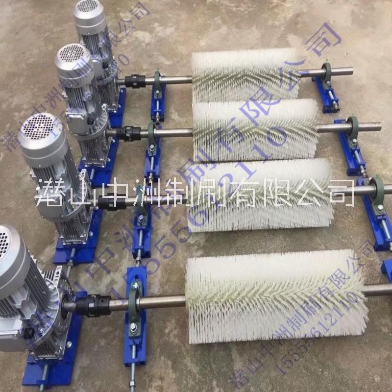 電動(dòng)滾刷清掃器煤礦焦化水泥廠皮帶機(jī)滾刷輸送機(jī)旋轉(zhuǎn)式毛刷清掃器電動(dòng)清掃器