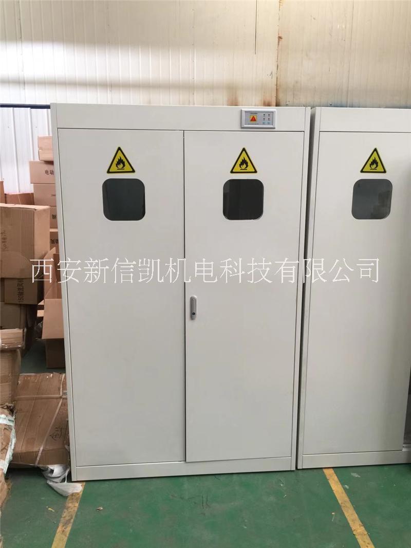 全鋼氣瓶柜圖片/全鋼氣瓶柜樣板圖 (4)