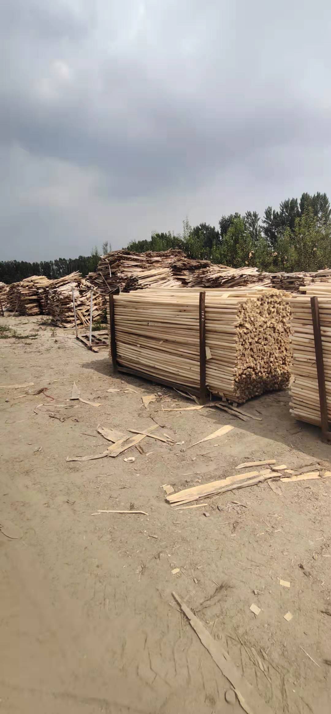 廠家直銷楊木綠化桿圖片