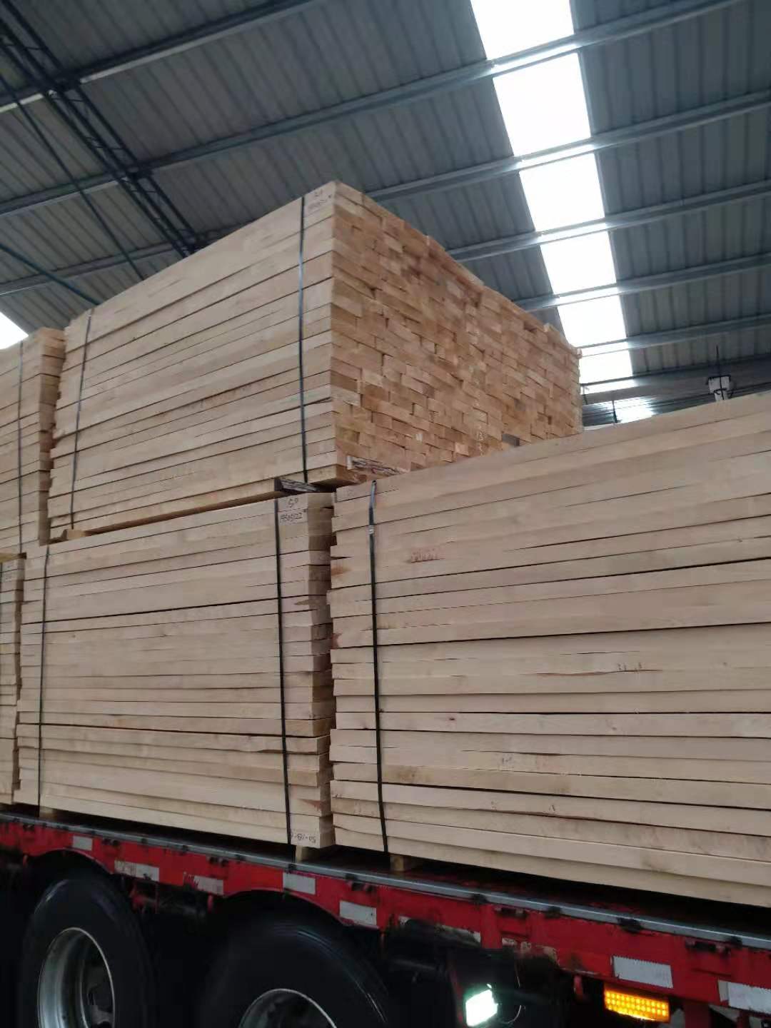 樺木材圖片/樺木材樣板圖 (3)