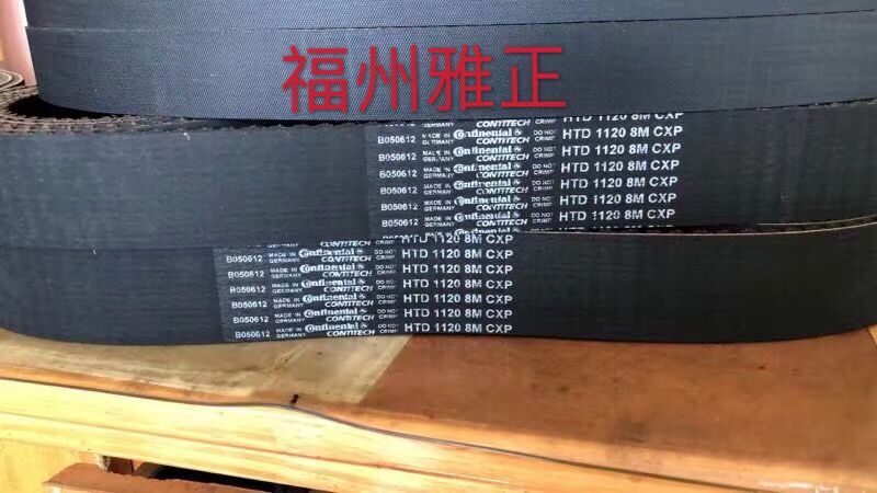 皮帶圖片/皮帶樣板圖 (3)