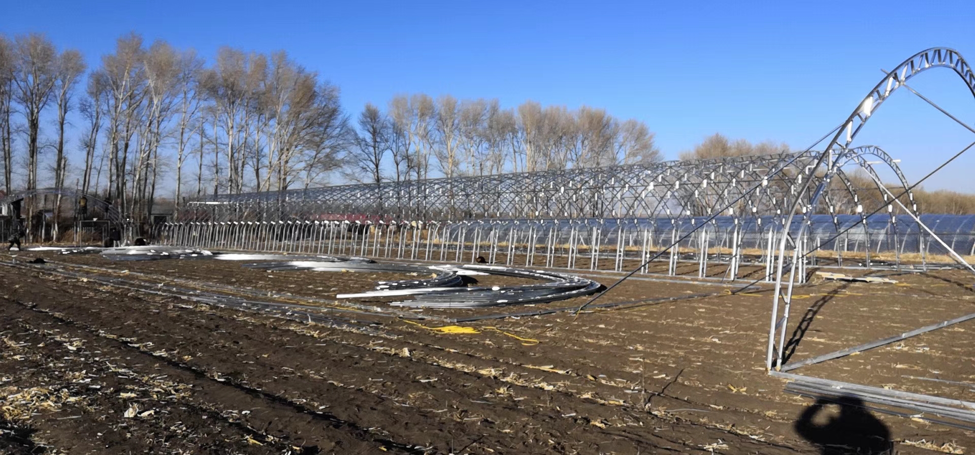 內(nèi)卷邊C型骨架圖片/內(nèi)卷邊C型骨架樣板圖 (3)