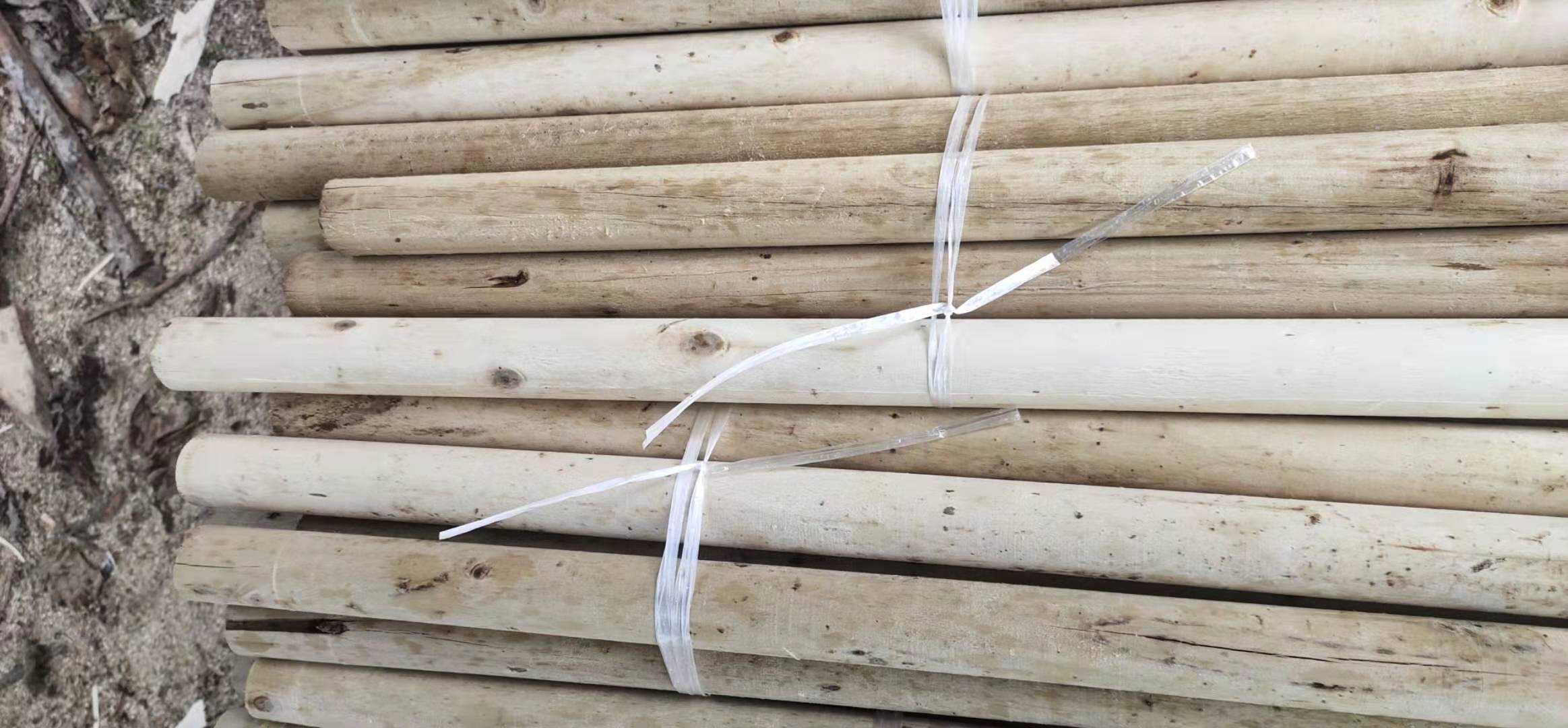 長期發(fā)車各種型號楊木綠化桿圖片/長期發(fā)車各種型號楊木綠化桿樣板圖 (2)