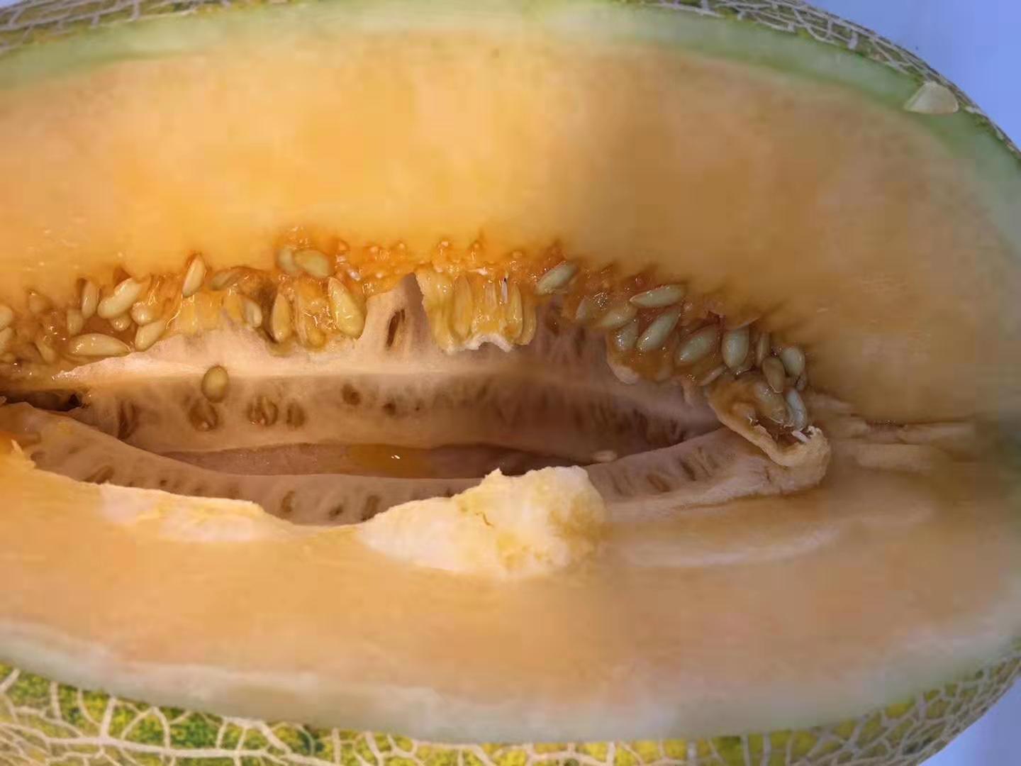 新疆伽師瓜/深圳伽師瓜一件代發(fā)/吃伽師瓜作用與好處