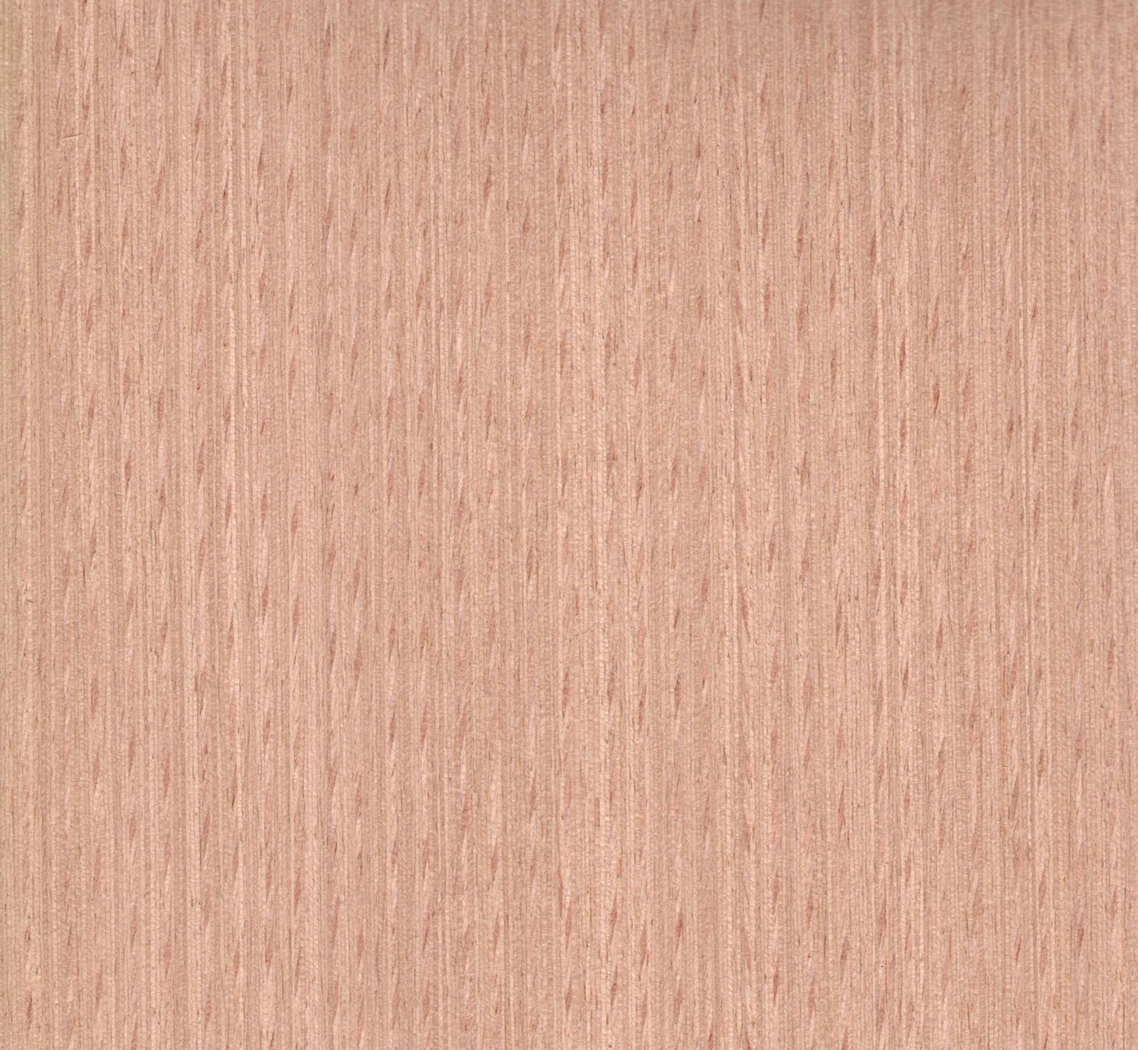 維尼VN29 紅櫸科技木皮