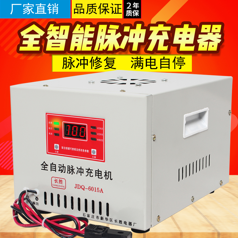 厂家直销观光车充电机48V