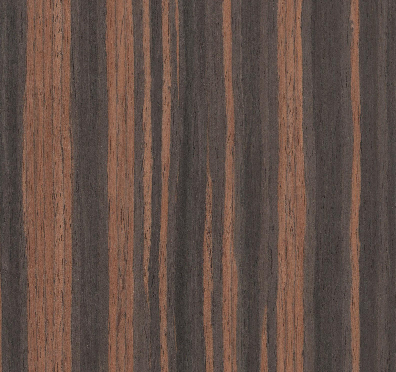 維尼VN104 黑檀科技木皮圖片