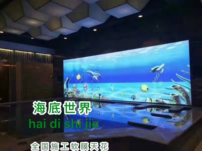 吊頂透光膜圖片/吊頂透光膜樣板圖 (3)