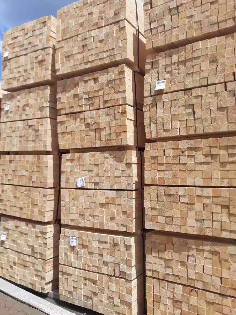 加拿大鐵杉圖片/加拿大鐵杉樣板圖 (1)