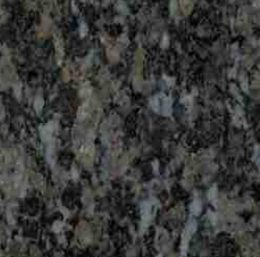 蝴蝶蘭圖片/蝴蝶蘭樣板圖 (1)