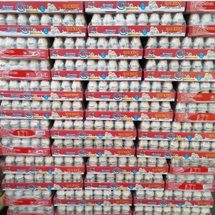 乳酸菌飲料100ml供應商圖片