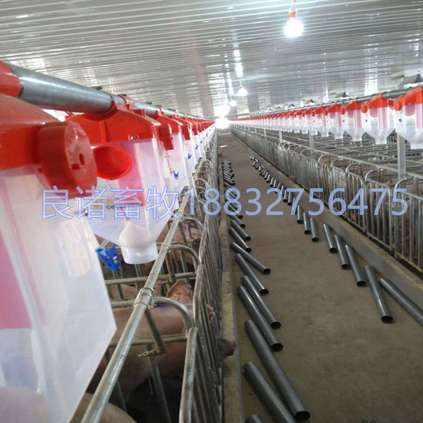 母豬自動(dòng)喂料線圖片/母豬自動(dòng)喂料線樣板圖 (1)