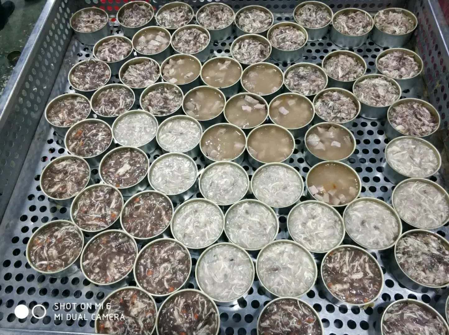 寵物罐頭圖片/寵物罐頭樣板圖 (4)
