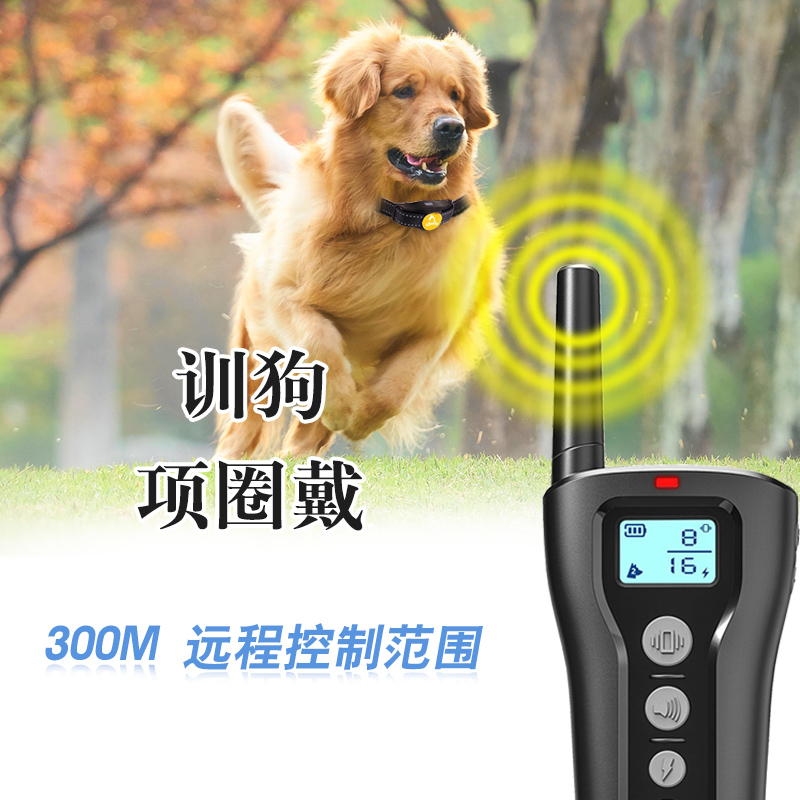 止吠器圖片/止吠器樣板圖 (3)