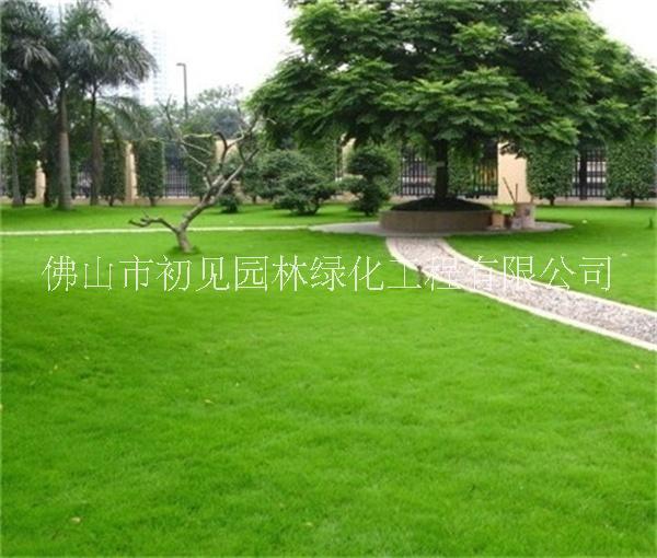 園林綠化設(shè)計(jì)施工圖片/園林綠化設(shè)計(jì)施工樣板圖 (1)